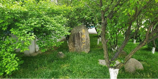 好色先生软件下载塑业再次被客户评定为“A级供应商”