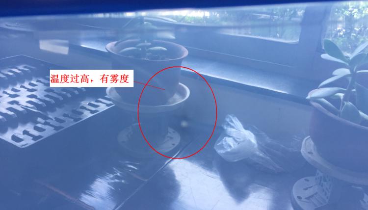 注塑制品质量缺陷分析（六）造成制品表面有雾度的主要原因是什么？
